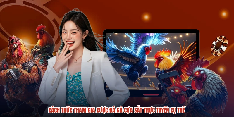Cách thức tham gia cược đá gà cựa sắt trực tuyến cụ thể