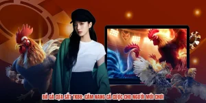 Đá Gà Cựa Sắt TK88: Cẩm Nang Cá Cược Cho Người Mới Chơi