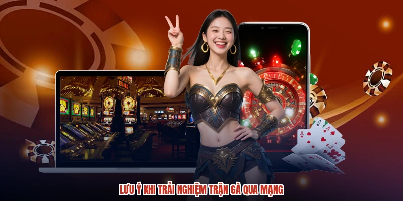 Lưu ý khi trải nghiệm trận gà qua mạng