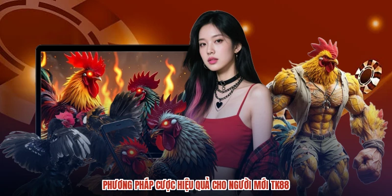 Phương pháp cược hiệu quả cho người mới TK88