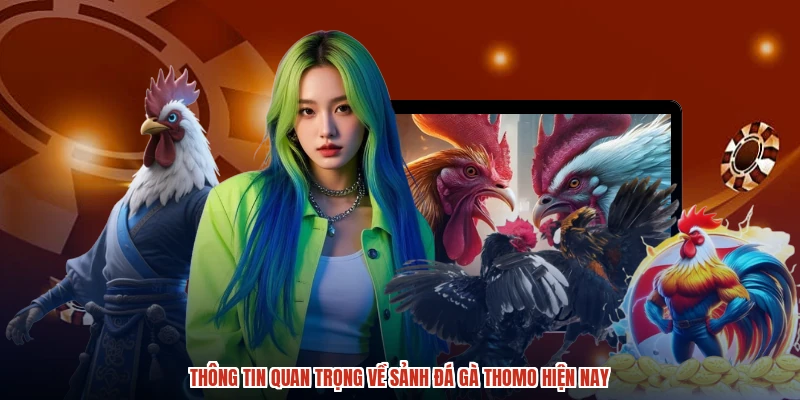 Thông tin quan trọng về sảnh đá gà thomo hiện nay