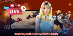 Tổng Hợp Thuật Ngữ Đá Gà Tại TK88: Các Hình Thức Cược Hay